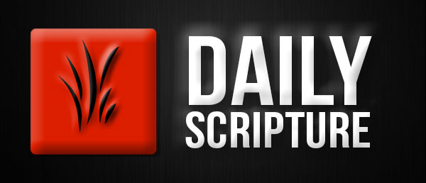 Daily Scripture – December 11, 2015