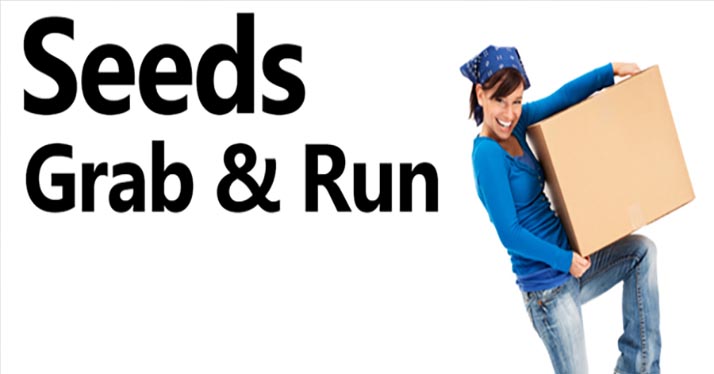 Come and help out at the Seeds Fall Grab & Run – Oct 4 & 5