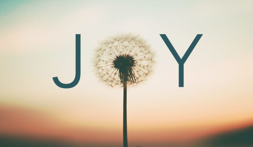 Seeds 20th Birthday and Breakfast Potluck 10 am on Sunday, Jan. 5