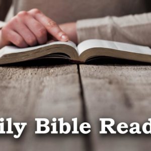 Daily Scripture – November 19, 2020