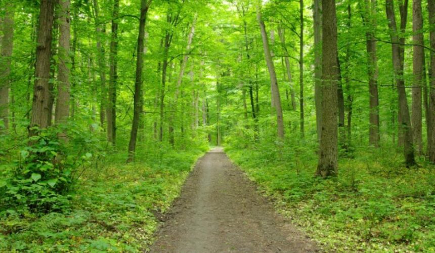 December 14 – Connect with Nature! December 14 – Connect with Nature!