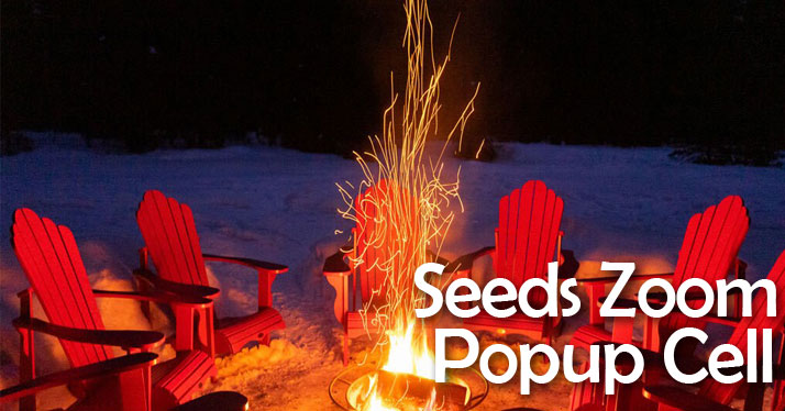 Seeds in-person Pop up Cell on Sunday, April 11 @ 10:45 am