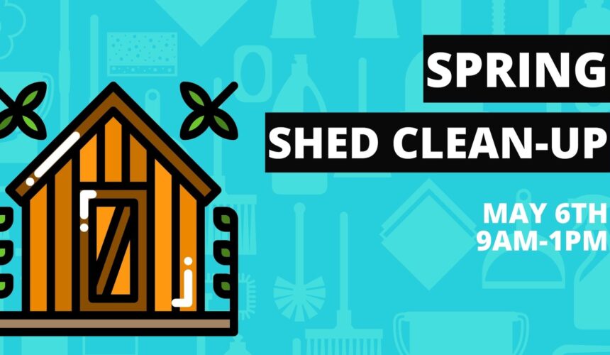 Spring Shed Clean-Up