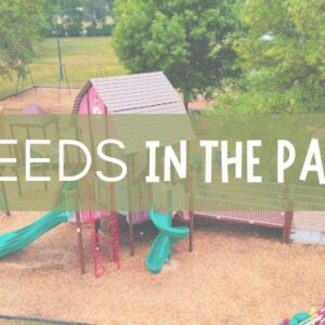 Seeds in the Park