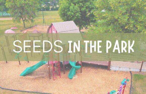 Seeds in the Park