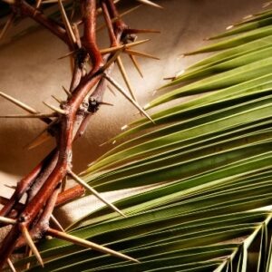 This Sunday: Kings, Crowds, Complicity and Hosanna’s & Palm Branch Processional This Sunday: Kings, Crowds, Complicity and Hosanna’s & Palm Branch Processional