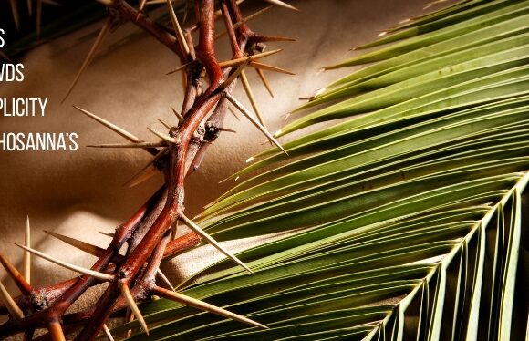 This Sunday: Kings, Crowds, Complicity and Hosanna’s & Palm Branch Processional